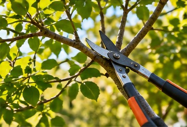Pruning shears cutting a leafy branch